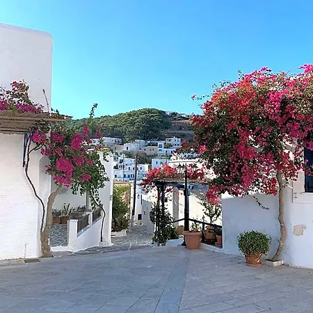 Naxos Center Superior Quadruple Balcony Villa