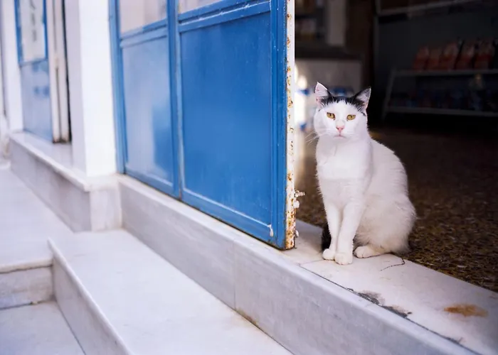 Villa Naxos Center Superior Quadruple Balcony